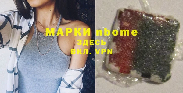 индика Братск