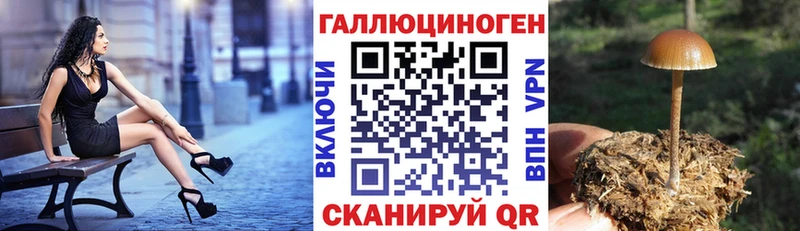 MEGA как зайти  Муром  Галлюциногенные грибы Magic Shrooms 