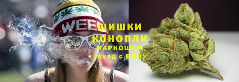 Бошки марихуана SATIVA & INDICA  где продают наркотики  Муром 